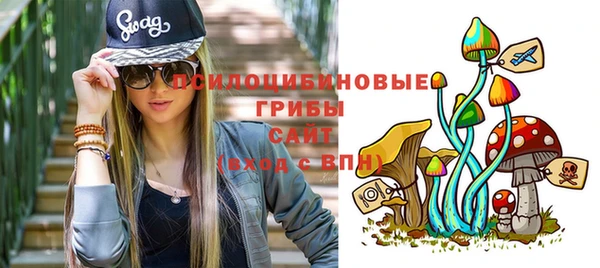 скорость Алзамай