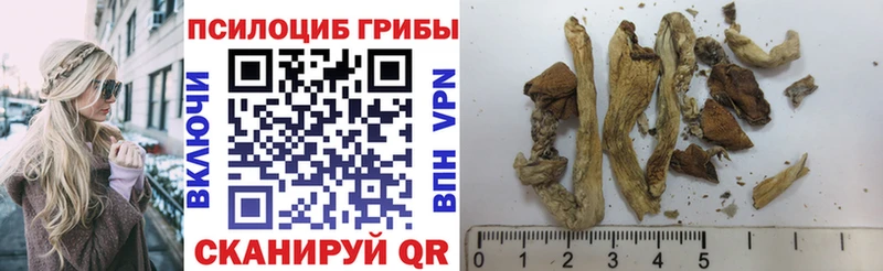 Галлюциногенные грибы MAGIC MUSHROOMS  Билибино 